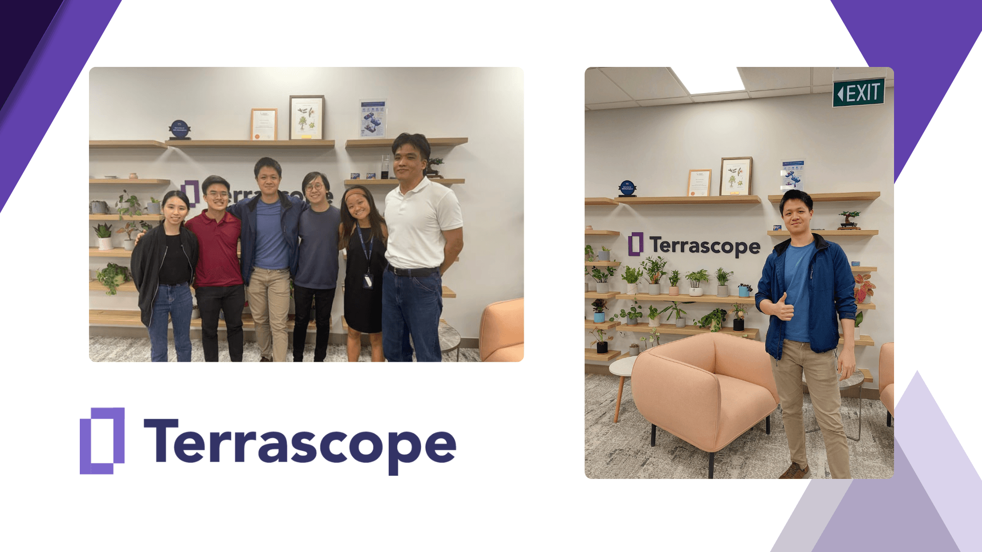Terrascope Internship
